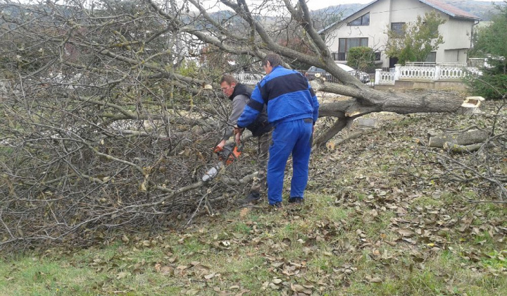 Zobraziť fotografiu