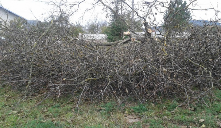 Zobraziť fotografiu